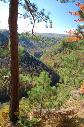Vacation Getaway Wild Asaph Cabin Rentals In Wellsboro Pa